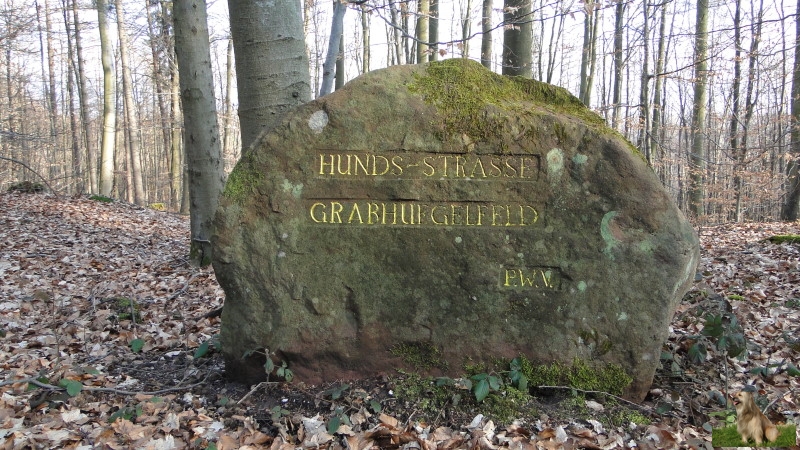 Ritterstein Nr. 244-2a Hunds -Strasse - Grabhügelfeld.JPG - Ritterstein Nr.244 Hunds-Strasse-Grabhügelfeld